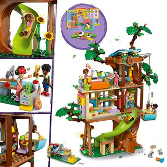 La cabane de l''amitie