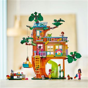 La cabane de l''amitie