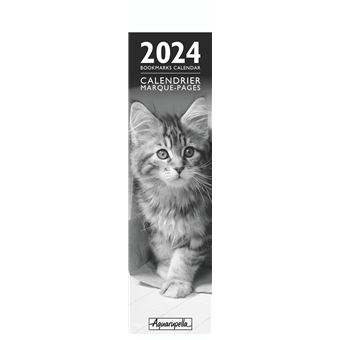 Calendrier Marque-Pages Pictura 2024 Chats Noir et Blanc