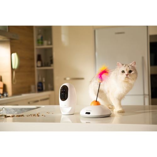 Gadget Flow Pawbo Treat Dispenser Sale Petcube Bites Pet Camera With Treat  Dispenser Clearance