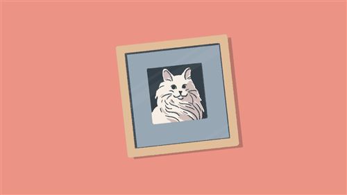 A Little to the Left: Extra Tidy Edition (Switch) au meilleur prix sur
