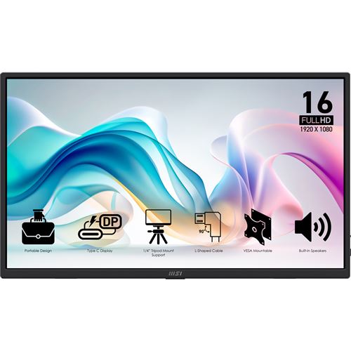 Ecran PC portable MSI Pro MP165 E6 15,6" Full HD