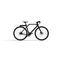 Elektrische fiets Angell 250 W Mat zwart