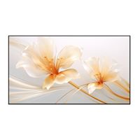 Ecran de projection sur cadre Xgimi ALR 100" pour focale ultra courte Noir