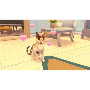 PS5 CAT RESCUE STORY FR/NL