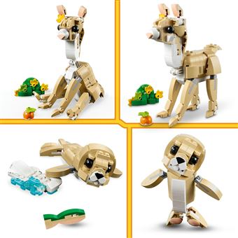 L''adorable lapin