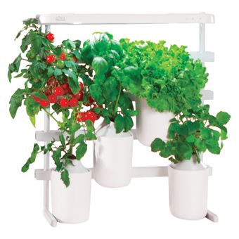 Modulo, le potager d’intérieur évolutif de Prêt à Pousser