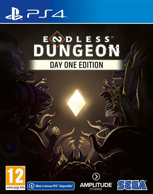 Pochette avant du jeu Endless Dungeon Day One Edition PS4