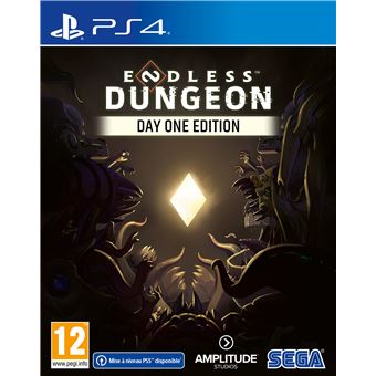 Endless Dungeon Day One Edition PS4