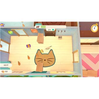 SWITCH CAT RESCUE STORY FR/NL