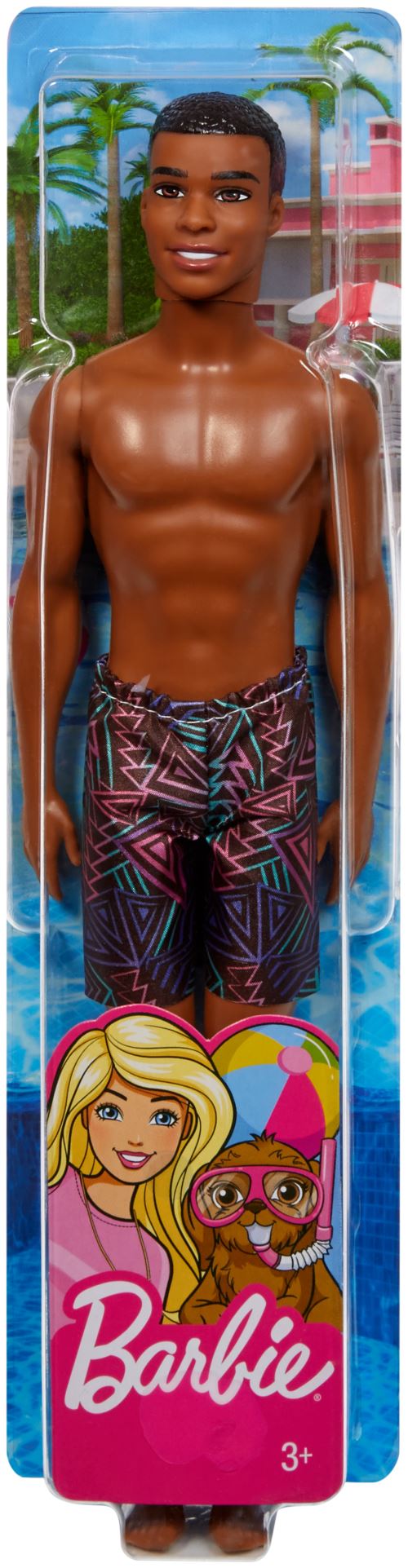 Poupée Barbie™ Ken Plage Mattel