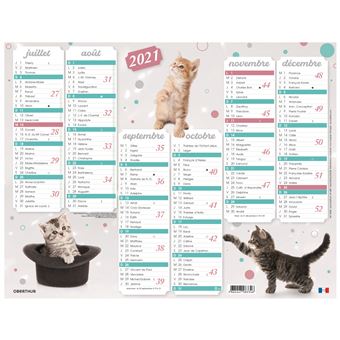 Planning 6 mois par face Oberthur Chatons Spectacle 21 x 27 cm Modèle aléatoire