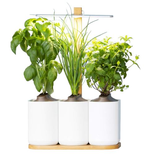 Lilo, le potager d’intérieur autonome de Prêt à Pousser