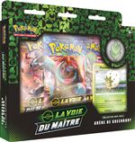 Coffret Pokémon La voie du maître 3 boosters Modèle aléatoire