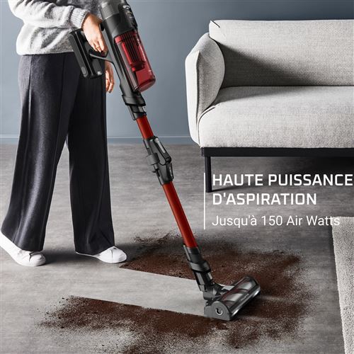 Aspirateur balai sans fil Rowenta X-Force Flex Animaux