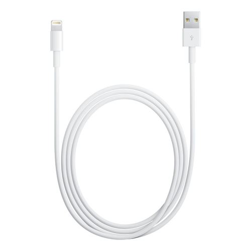 Chargeur pour téléphone mobile FG-Mobile Câble Lightning vers USB Blanc 1 m  Pour Apple iPhone SE