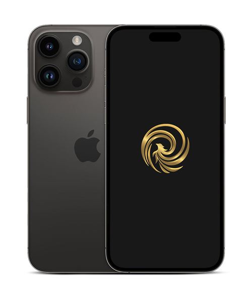 Apple iPhone 14 Pro Max 6,7 5G 128 Go Double SIM Noir Sidéral Reconditionné Grade A Reborn