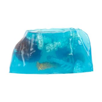 Trésor X Pack Créature Feu & Glace – Volcan Qui érupte Avec Eau, Creusage, Chasse Au Trésor En Or – Jeu D'aventure Captivant Pour Enfants Dès 5 Ans
