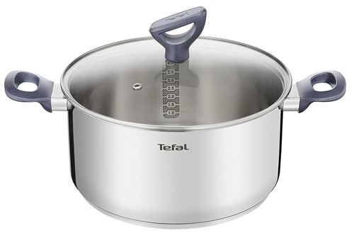 Tefal Faitout Dailycook En Inox - Ø 24 Cm - 5 L - avec Couvercle En Verre - Tous Feux Dont Induction