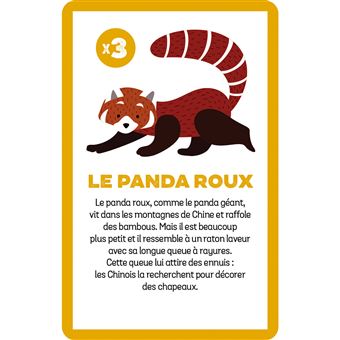 Jeu de société Janod Cherche et trouve les animaux menacés