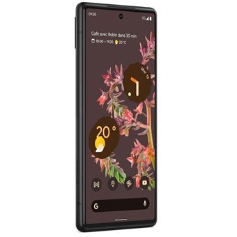 Smartphone-Google-Pixel-6-6-4-