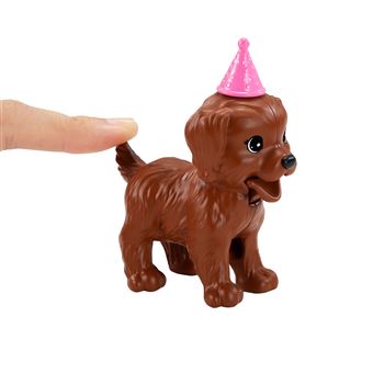 Coffret Barbie Anniversaire des chiens