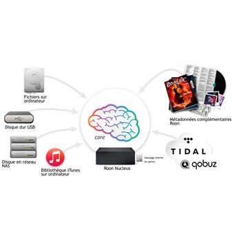 Lecteur réseau Hi-Fi Roon Nucleus Gris + Disque dur SSD 1 To