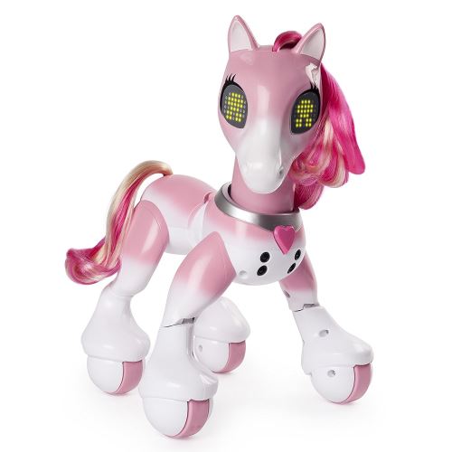 ZOOMER ZOOMER PONY
