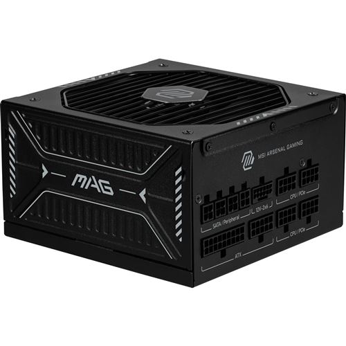 Alimentation PC modulaire MSI MAG A1000GLS PCIE5 1000W 80 PLUS Gold noir