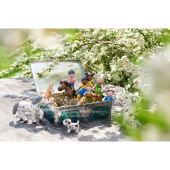 Jeu de société Haba Find the code ! Ile des pirates