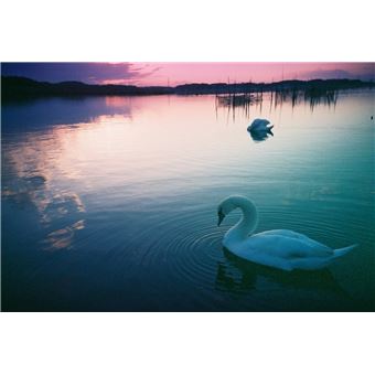 Lomography Color Negative 100 35mm Pack de 3