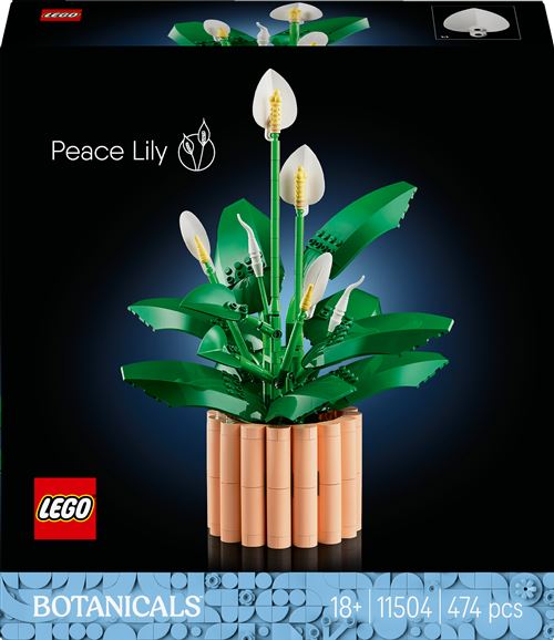 LEGO Botanicals Les Fleurs de Lune 11504 - vue 3