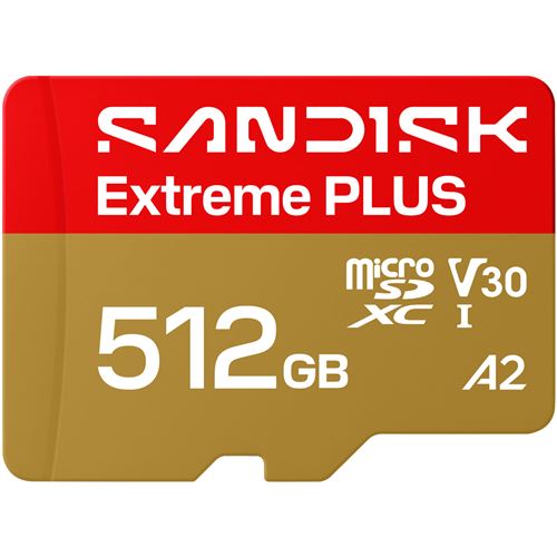 Carte microSDXC UHS I SANDISK Extreme Go jusqu''a 250 Mo/ en lecture et 170 Mo/ en ecriture 5K 4K UHD
