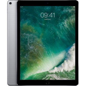 Apple 12.9-inch iPad Pro Wi-Fi + Cellular - 5eme generation - tablette - 256  Go - 12.9 IPS (2732 x 2048) - 3G, 4G, 5G - LTE - gris sideral (MHR63VC/A), Tablettes et appareils portables