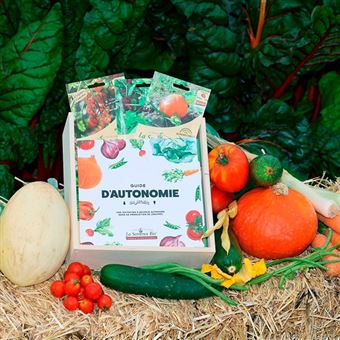 Semis La Semance Bio Coffret Mon Potager Bio Clé en main