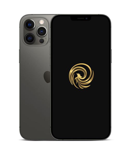 Apple iPhone 12 Pro Max 6,7 256 Go 5G Double SIM Graphite Reconditionné Grade A Reborn