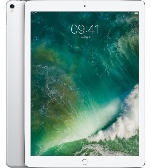 Apple iPad Pro 256 Go WiFi + 4G Argent 12.9"