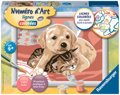 Peinture Au Numero Ravensburger Numero D Art Comme Chien Et Chat Peinture Achat Prix Fnac