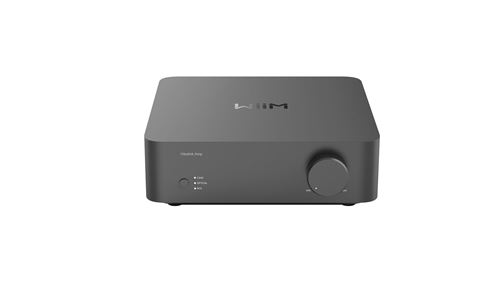 Amplificateur Hi Fi Wiim Vibelink Amp