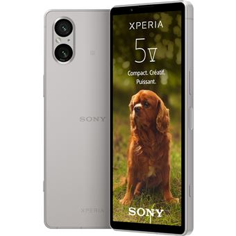 Smartphone Sony Xperia 5 V 6.1" 5G Double SIM 128 Go Argent Platine