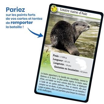 Jeu pour découvrir la nature Bioviva Défis Nature Animaux d'eau douce