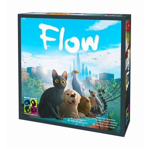 Jeu d’ambiance Flow Brain Games