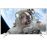 TV Thomson 49UV6206W UHD 4K 49"_0