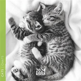 Calendrier Pictura 2024 16 x 16 cm Chats Noir et Blanc