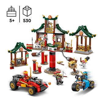 LEGO® Ninjago® 71787 La boîte de briques créatives ninja