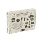 Coffret graines 12 légumes insolites