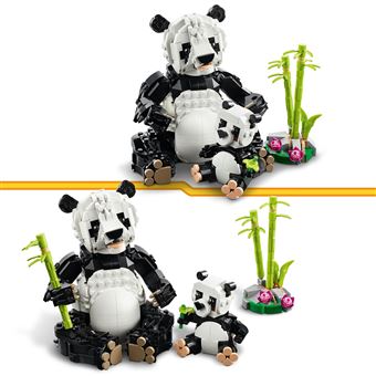 Animaux sauvages : la famille de pandas