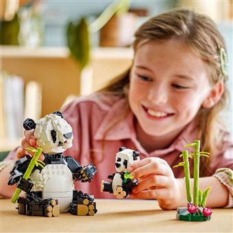 Animaux sauvages : la famille de pandas