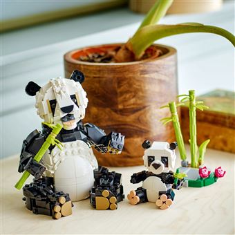 Animaux sauvages : la famille de pandas