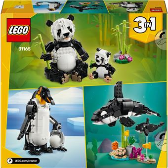 Animaux sauvages : la famille de pandas